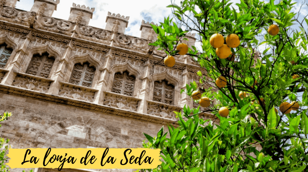 lonja de la seda